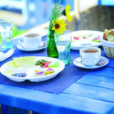 Dharma Auberge de jeunesse Rijeka