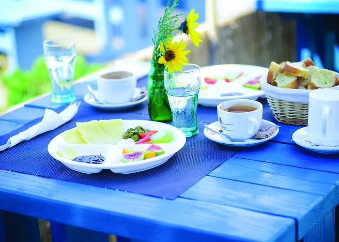 Dharma 旅馆 里耶卡